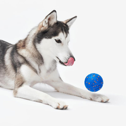 Cheerble Wicked Ball Air, Smart Interactive Dog Toy Ball, Durable Dog Toy, Chew Proof Toy, Automatic Moving and Bouncing, 3 Switchable Modes, Pet Products, Outdoorfun